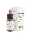 QUINTA ESENCIA CANNELLA (CANELLA) 10Ml. FORZA VITALE