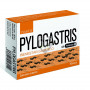 PYLOGASTRIS 90 CAPSULAS PLANTIS